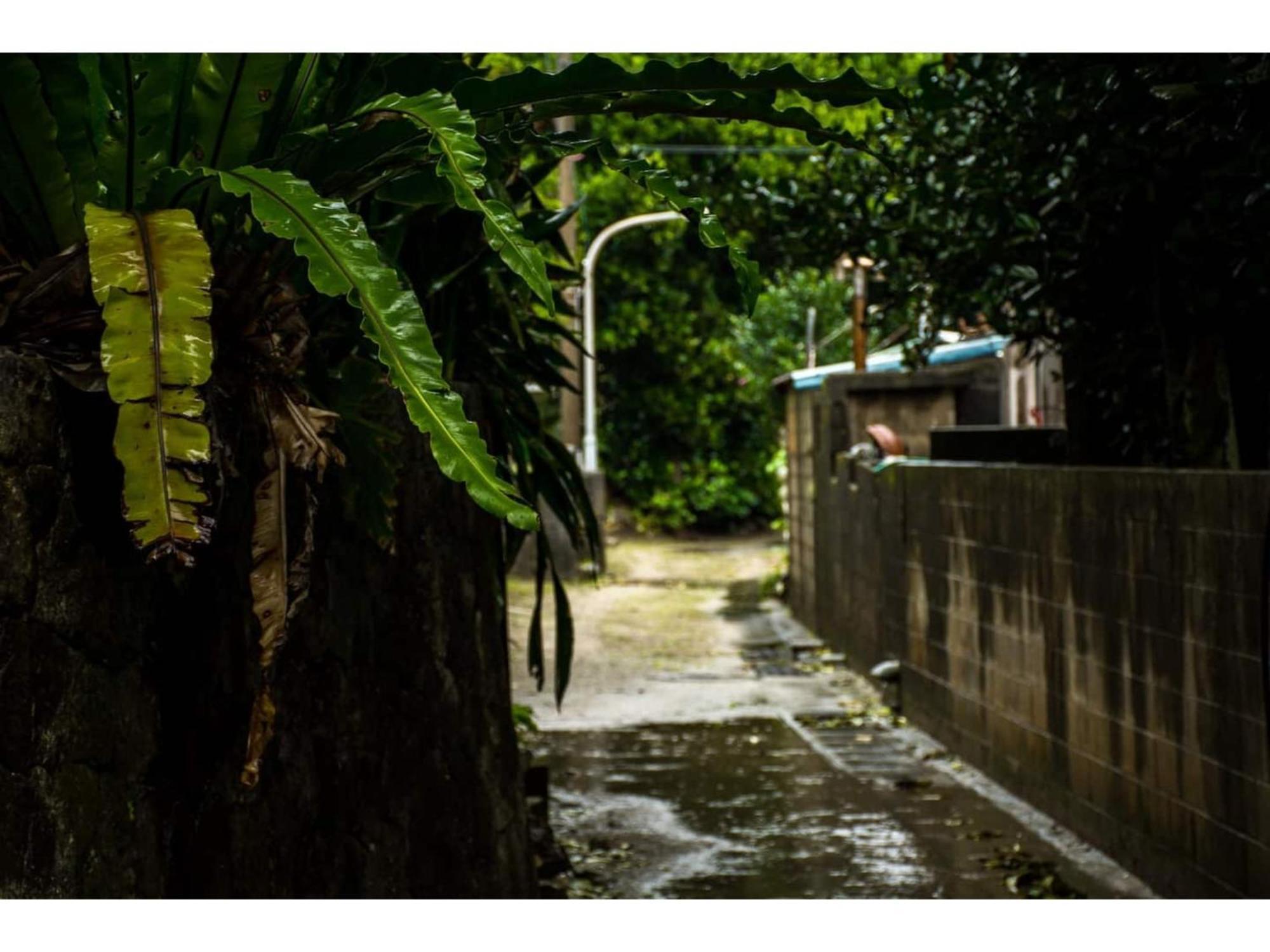 Homestay Kucha - Vacation Stay 17857V ซามามิ ภายนอก รูปภาพ